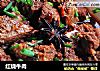 红烧牛肉的做法
