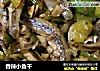 香辣小鱼干的做法