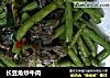 长豆角炒牛肉的做法