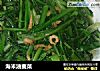 海米油麦菜的做法