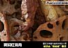 藕焖红烧肉的做法
