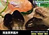 斑鱼营养面片的做法