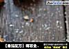 【番茄配方】椰蓉金字塔——油光光的金黄色实在诱人的做法