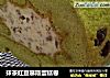 抹茶红豆慕斯蛋糕卷的做法