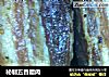 秘制五香腊肉的做法