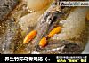 养生竹荪乌骨鸡汤（竹丝鸡）的做法