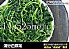 清炒白蔊菜的做法