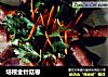 培根金针菇卷的做法