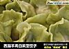 西葫羊肉白菜型饺子的做法
