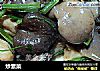 炒素菜的做法