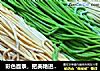 彩色面条，把美艳进行到底的做法