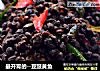 最开胃的--豆豉黄鱼的做法