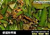 虾皮炒芹菜的做法