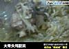 大骨头炖酸菜的做法