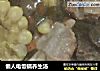懒人电饭锅养生汤的做法