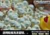 迷糊娃娃洗澡蛋糕，泡泡浴哦，芭比娃娃蛋糕（内涵威风蛋糕详细制作过程）的做法