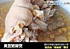 黄豆猪脚煲的做法