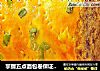 掌握五点面包卷保证不开裂——孩子最完美的早餐【香葱肉松面包卷】的做法