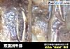 煎澳洲牛排的做法