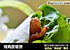 烤肉皮塔饼的做法