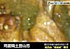 鸡翅烧土豆山药的做法