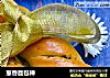 葱香面包棒的做法