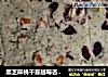 黑芝麻桃干蔓越莓杏仁饼干的做法