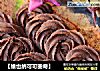 【维也纳可可曲奇】的做法