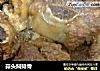 蒜头焖排骨的做法