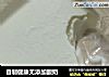 自制健康无添加酸奶的做法