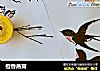 橙香燕窝的做法