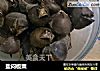 盐闷板栗的做法