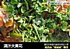 浇汁大黄花的做法