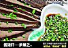 酱猪肝---多维之食品的做法
