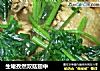生啫孜然双菇翅中的做法