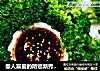 惹人喜爱的防癌新秀~节日清道夫~凉拌西兰花的做法