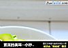 素菜的美味--小炒长南瓜的做法