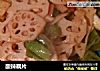 酸辣藕片的做法