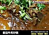 番茄牛肉砂锅的做法