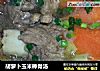 胡萝卜玉米棒骨汤的做法