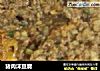 猪肉沫豆腐的做法
