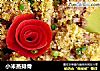 小米蒸排骨的做法