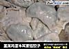 韭菜鸡蛋木耳素馅饺子的做法