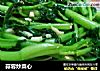 蒜蓉炒菜心的做法
