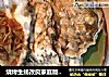 烧烤生蚝改良家庭版不用烤箱的做法