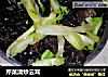 芹菜清炒云耳的做法
