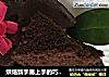 烘焙新手易上手的巧克力分蛋海绵蛋糕的做法