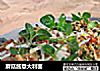 蘑菇酱意大利面的做法