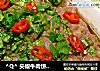 ^Q^ 尖椒牛肉饼  ☆蒸肉饼14的做法