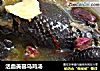 活血美容乌鸡汤的做法